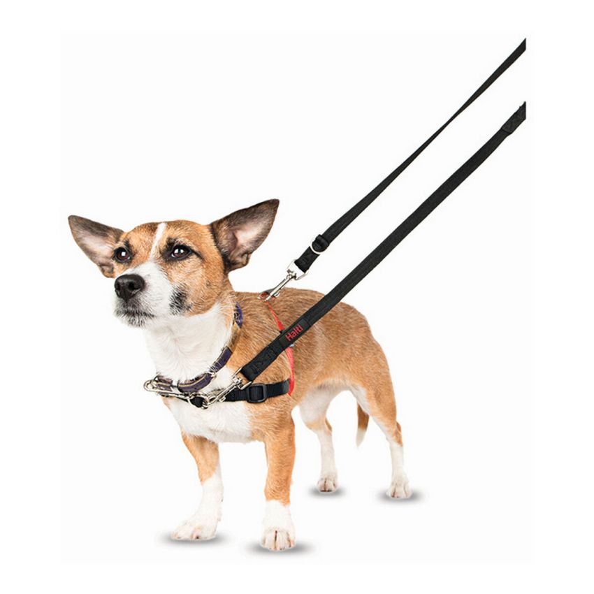 Ham pentru câini Company of Animals Halti Negru/Roșu L (80-120 cm)