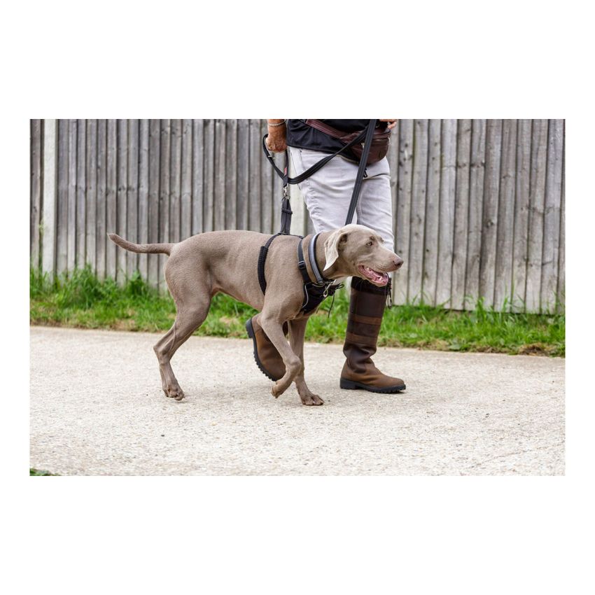 Ham pentru câini Company of Animals Halti Mărimea S (26-36 cm)