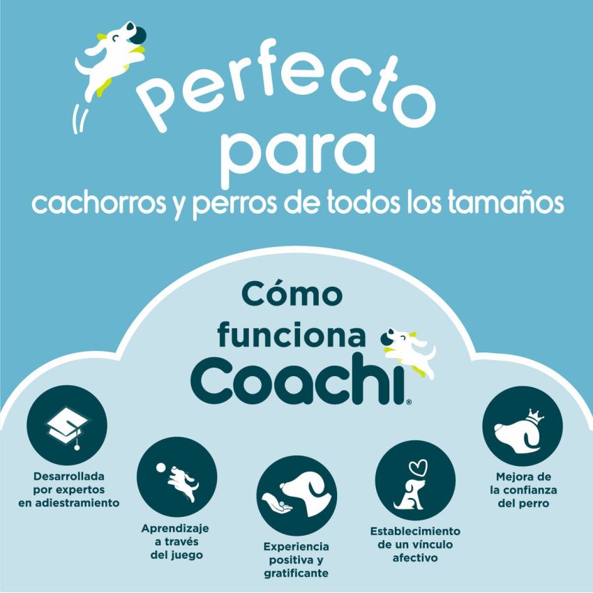 Lesă pentru câine Coachi Albastru 2,5 m Antrenament