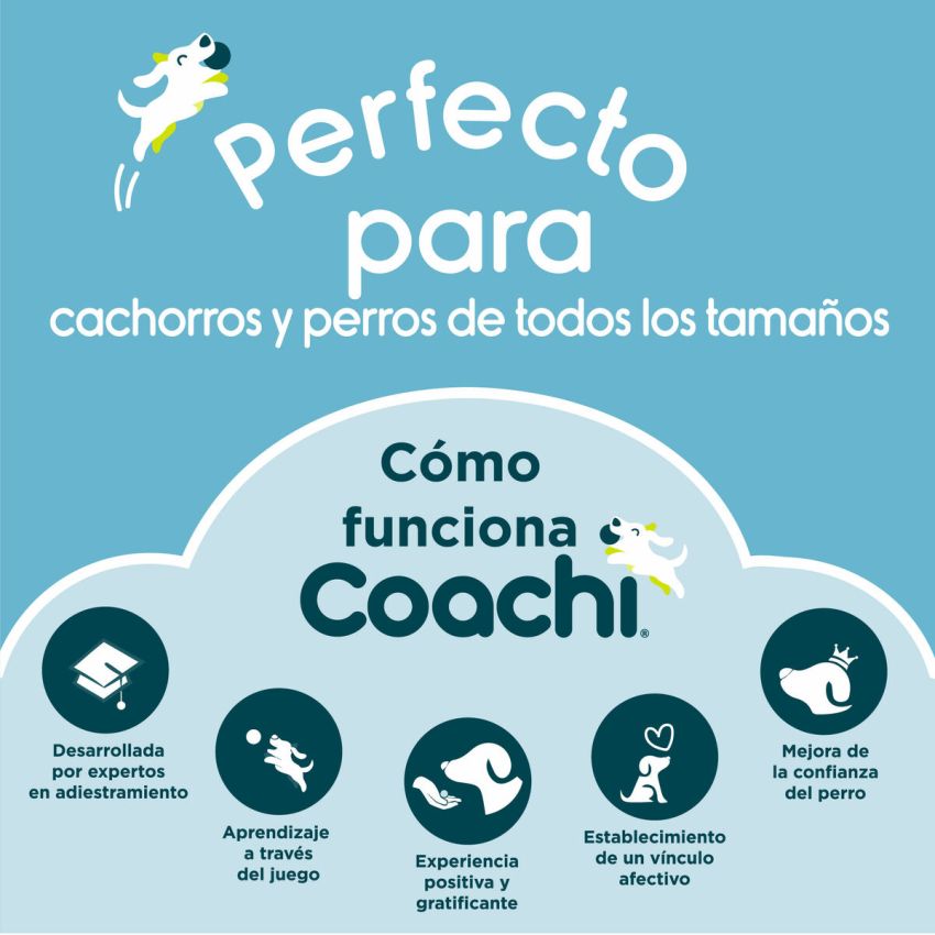 Lesă pentru câine Coachi Albastru Antrenament