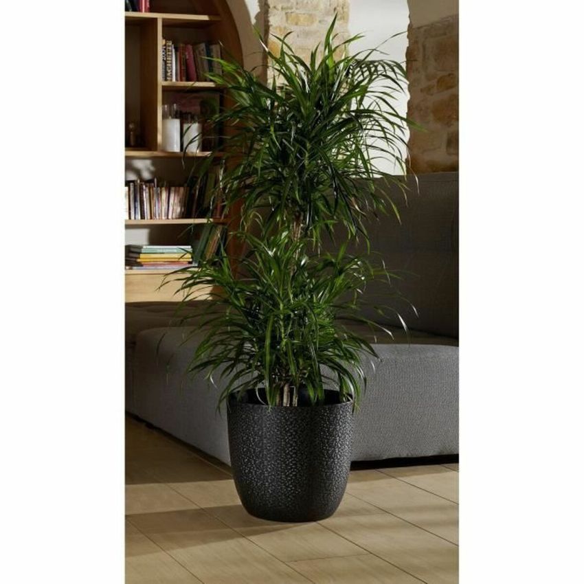 Ghiveci EDA Opal Chape Negru Ø 29,5 cm