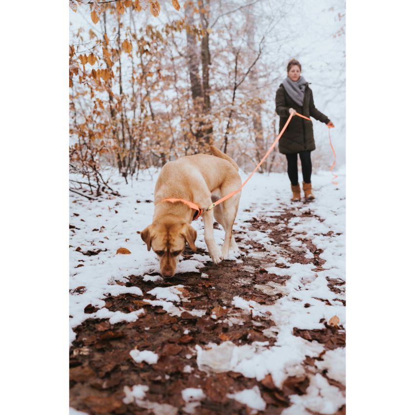 Zgardă pentru câini Hunter Convenience 47-55 cm L Portocaliu