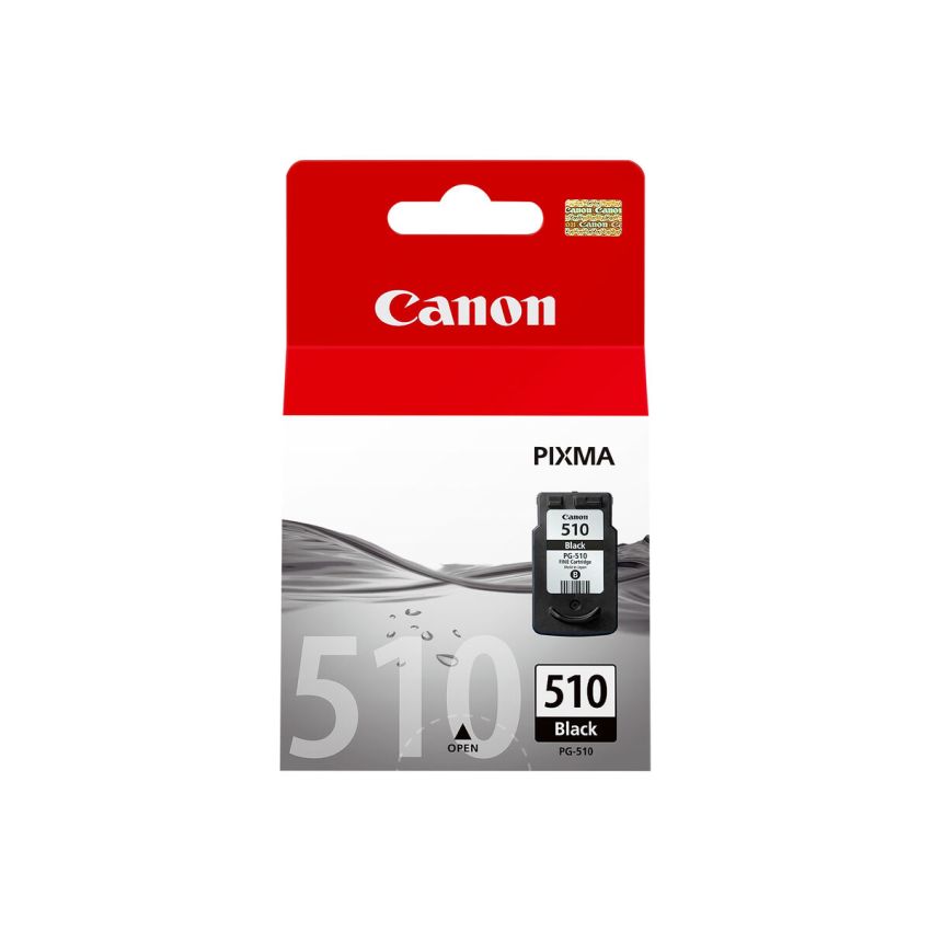 Cartuș cu Cerneală Originală Canon 100205303 Negru