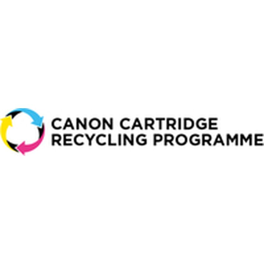 Cartuș cu Cerneală Originală Canon 5224B012