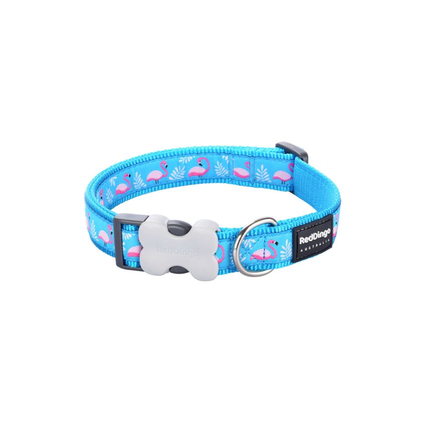 Zgardă pentru câini Red Dingo STYLE FLAMINGO Turquoise 41-63 cm
