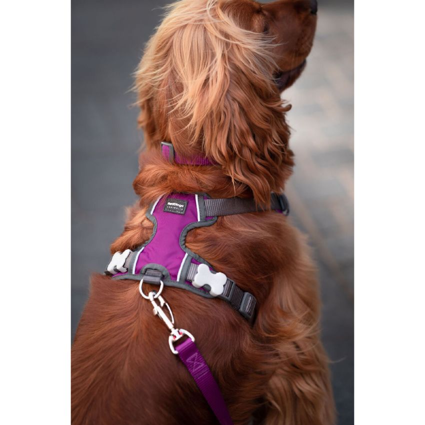 Ham pentru câini Red Dingo Dingo 38-58 cm 46-63 cm Mov M
