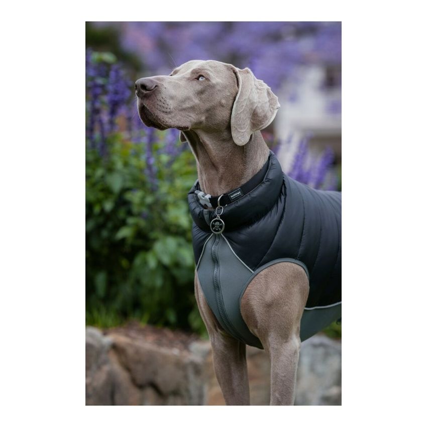 Haină pentru câine Red Dingo Puffer Negru/Gri 35 cm