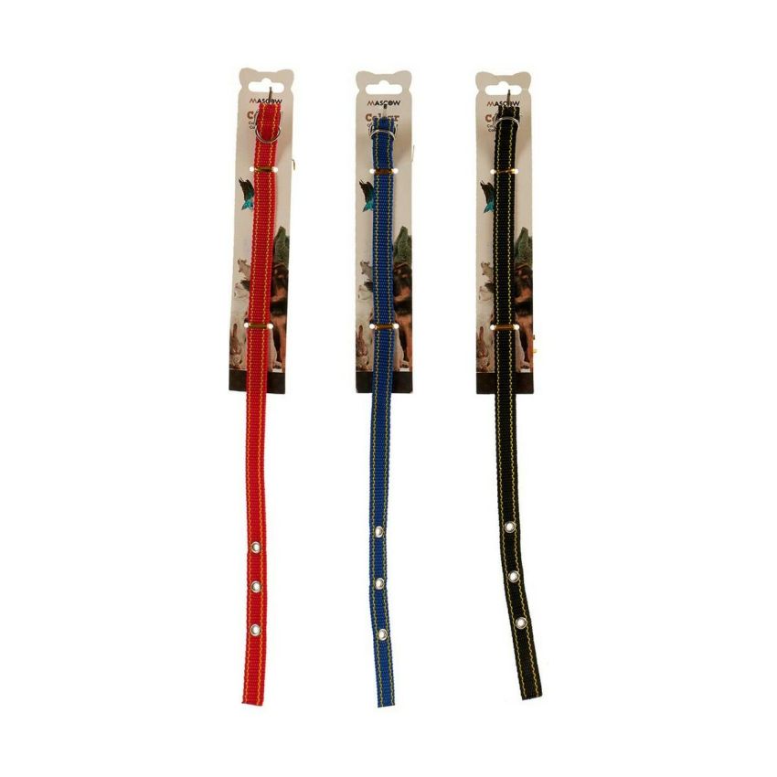 Zgardă pentru câini 0,3 x 42 x 2 cm (12 Unități)