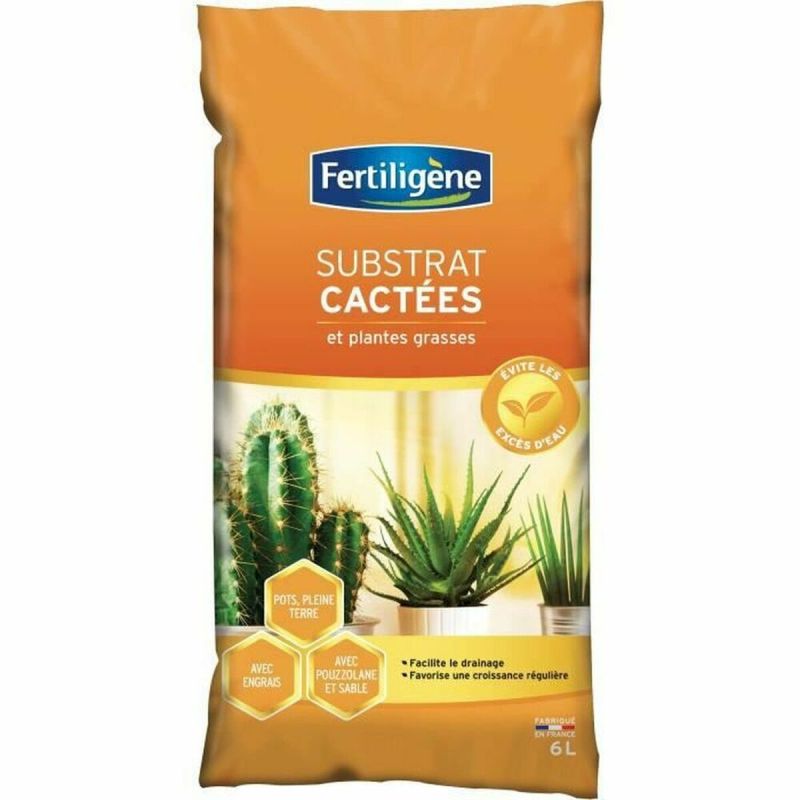 Îngrășământ de plante Fertiligène 6 L