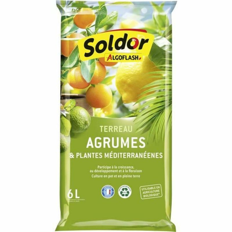 Pământ pentru ghiveci Algoflash TAGRUM6 Citrice Mediterană 6 L