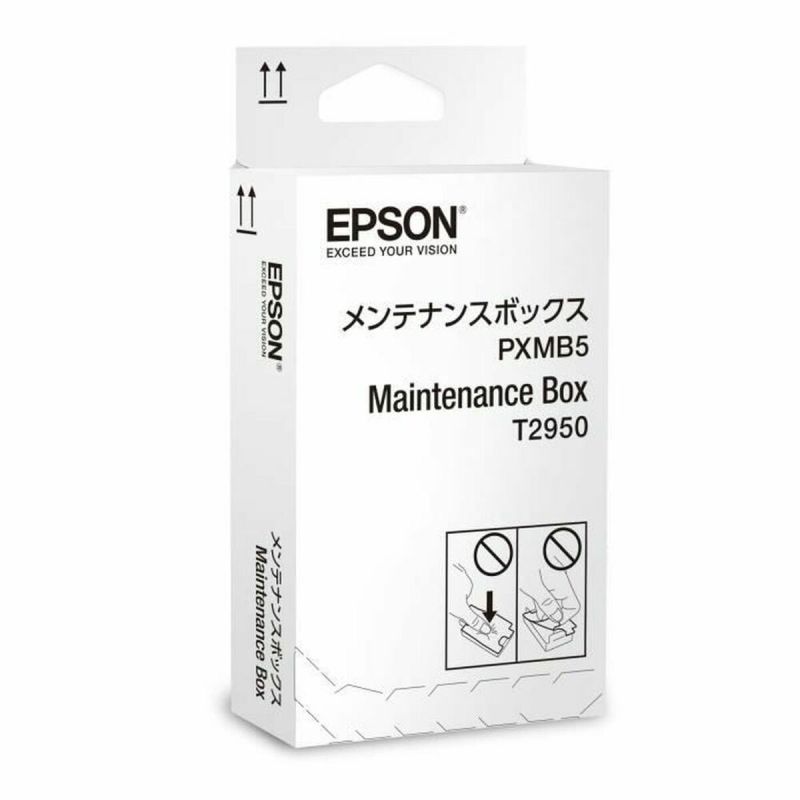 Cartuș cu Cerneală Originală Epson T2950 Negru