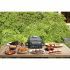 Friteuză fără Ulei NINJA Woodfire Outdoor Grill Negru 2400 W