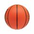 Minge de Baschet Spalding TF-1000 Legacy Multicolor 6 Ani