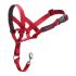 Gulerele de dresaj pentru câini Company of Animals Halti Botniță (35-48 cm)