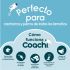 Training toy Coachi Albastru