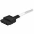 Cablu SATA Startech SAS43SAT1M 1 m