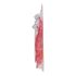 Aparat de ras clasic Bic Miss Soleil Femeie (4 uds)