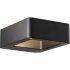 Aplica de tavan Brilliant Golda Negru