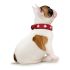 Zgardă pentru câini Hunter Swiss Roșu/Negru (24-28.5 cm)