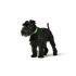 Zgardă pentru câini Hunter Convenience 23-31 cm Verde XS/S