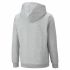 Hanorac pentru Copii Puma Ess+ 2 Col Big Logo Gri deschis