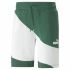 Pantaloni Scurți Sport pentru Bărbați Puma Power Cat Verde