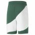 Pantaloni Scurți Sport pentru Bărbați Puma Power Cat Verde