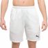 Pantaloni Scurți Sport pentru Bărbați TEAMLIGA 931835 Puma 931835 04 Padel