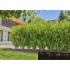 Țevi de picurare Gardena 13503-20 25 m