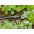 Conector de furtun Gardena 