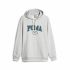 Hanorac cu Glugă Bărbați Puma Squad Fl Gri deschis