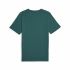 Tricou cu Mânecă Scurtă Bărbați Puma Graphiccs Sneaker Verde