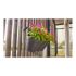 Ghiveci Artevasi 639343 Antracit Gri închis Plastic Rotund 30,5 x 54 x 28 cm