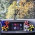 Odorizant pentru Mașină Dr Marcus Lucky Top Citric Plastic Pandantiv (12 Unități)