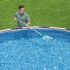 Colector de frunze pentru piscină Bestway 163 cm (1 Unități)