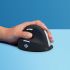 Mouse Ergonomic Optic R-Go RGOHELELAWL Negru
