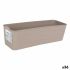 Organizator Confortime Jano 27 x 9 x 7,5 cm (36 Unități) (27 x 9 x 7,5 cm)