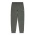 Pantaloni lungi de sport Champion Straight Hem Gri Bărbați