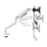 Suport de Masă pentru Ecran Neomounts DS75S-950WH2 Alb 27