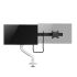 Suport de Masă pentru Ecran Neomounts DS75S-950WH2 Alb 27