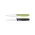 Cuțit pentru cojit Quid Veggy Metal Bachelită 9 cm (Pack 24x)