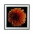 Tablou Versa Floare Geam polistiren (2 x 60 x 40 cm)