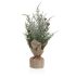 Plantă decorativă Versa Lin Metal Plastic Цимент 12 x 31 x 12 cm