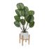 Plantă decorativă Versa Lemn Metal Ceramică polistiren Plastic 33 x 61 x 38 cm