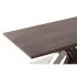 Masă de Sufragerie DKD Home Decor Lemn Oțel 120 x 60 x 43,5 cm