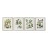 Tablou DKD Home Decor Bird 55 x 2,5 x 70 cm Tropical Păsări (4 Piese)