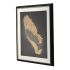 Tablou DKD Home Decor (63 x 3,5 x 53 cm)
