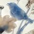 Tablou DKD Home Decor 50 x 2 x 60 cm Květiny Shabby Chic (3 Piese)