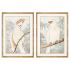 Tablou DKD Home Decor Papagal Tropical 50 x 3 x 70 cm (2 Unități)
