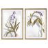 Tablou DKD Home Decor 50 x 2 x 70 cm Modern Plante botanice (2 Unități)